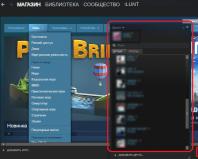 How to remove a restriction on Steam